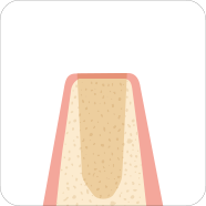 진료 및 치료 계획